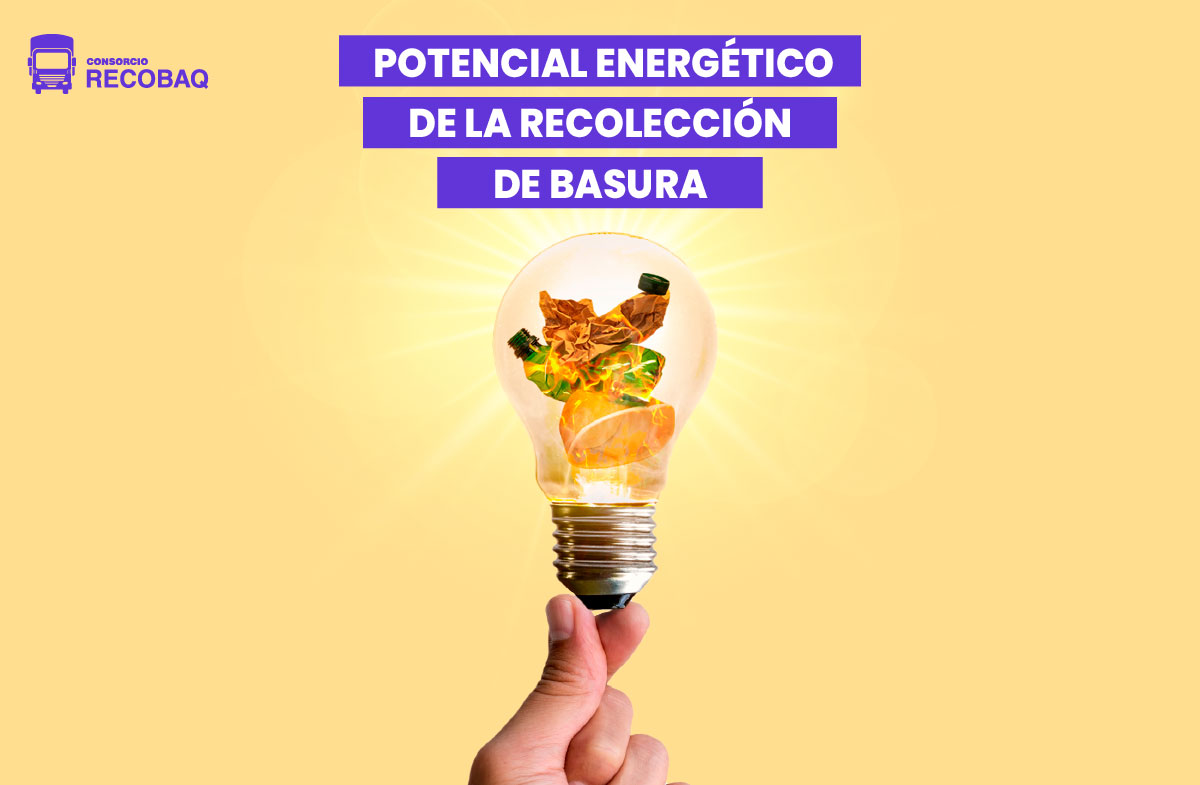 El potencial energético de la basura: ¿solución a la crisis? RECOBAQ